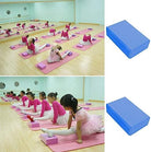 2 Pack Yoga Blocks High Density EVA Foam Brick Soft Non-Slip Surface Exercise Bricks Stability and Balance for Exercise, Yoga, Pilates, Meditation, Aid Balance (Blue)